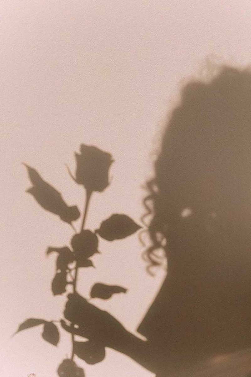 image of the shadow of a girl holding a rose