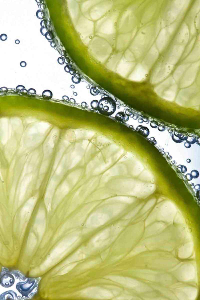 close up food photography of lime fruit slices under water<br />
